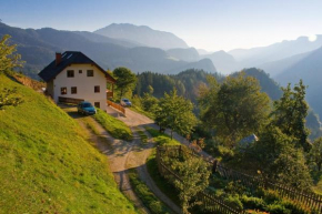 Гостиница Turistična kmetija Perk, Солкава